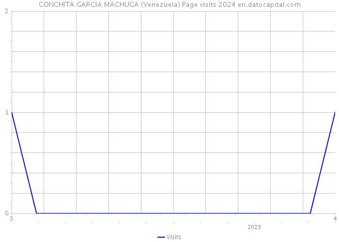 CONCHITA GARCIA MACHUCA (Venezuela) Page visits 2024 