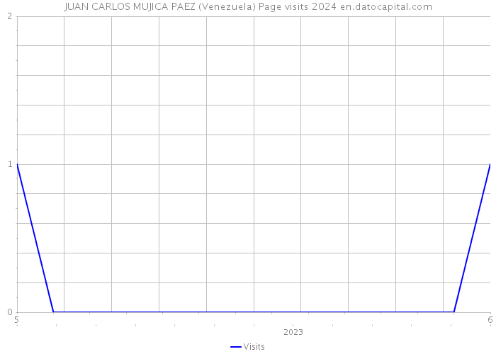 JUAN CARLOS MUJICA PAEZ (Venezuela) Page visits 2024 