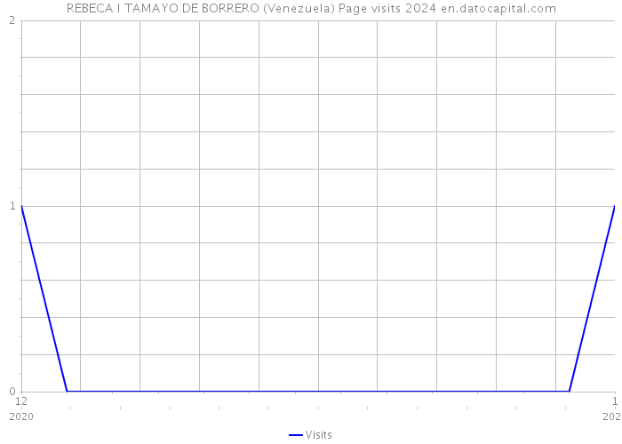 REBECA I TAMAYO DE BORRERO (Venezuela) Page visits 2024 