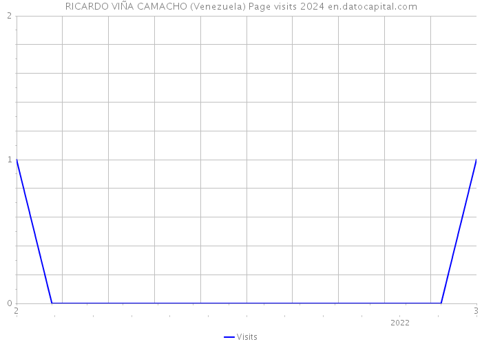 RICARDO VIÑA CAMACHO (Venezuela) Page visits 2024 