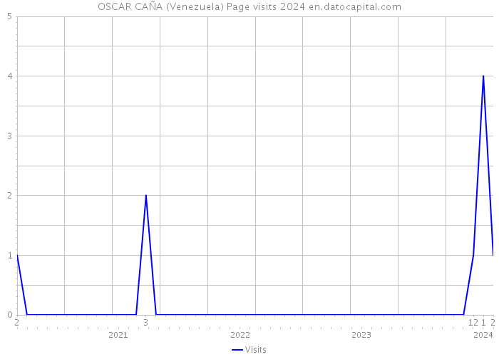 OSCAR CAÑA (Venezuela) Page visits 2024 