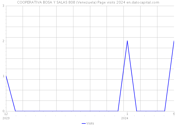 COOPERATIVA BOSA Y SALAS 808 (Venezuela) Page visits 2024 