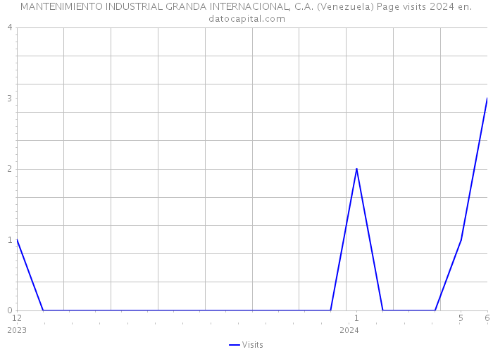 MANTENIMIENTO INDUSTRIAL GRANDA INTERNACIONAL, C.A. (Venezuela) Page visits 2024 