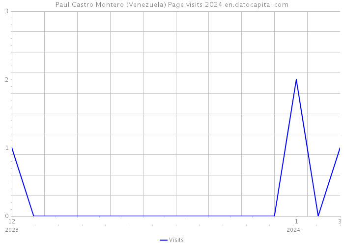 Paul Castro Montero (Venezuela) Page visits 2024 