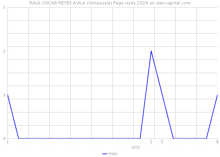 RAUL OSCAR REYES AVILA (Venezuela) Page visits 2024 