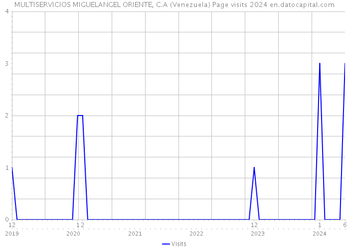 MULTISERVICIOS MIGUELANGEL ORIENTE, C.A (Venezuela) Page visits 2024 