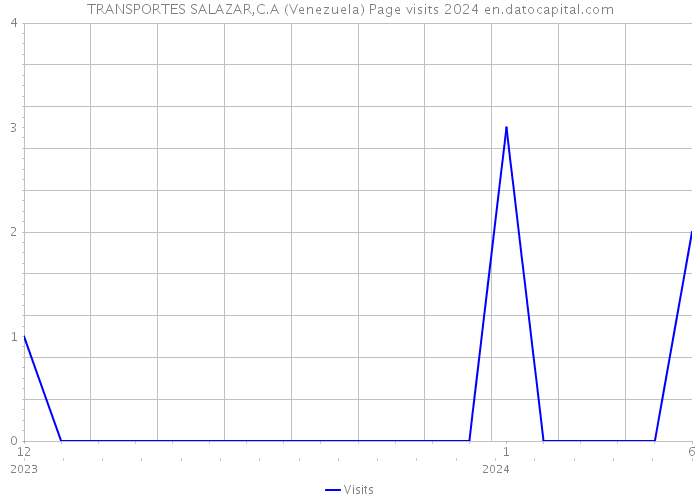 TRANSPORTES SALAZAR,C.A (Venezuela) Page visits 2024 