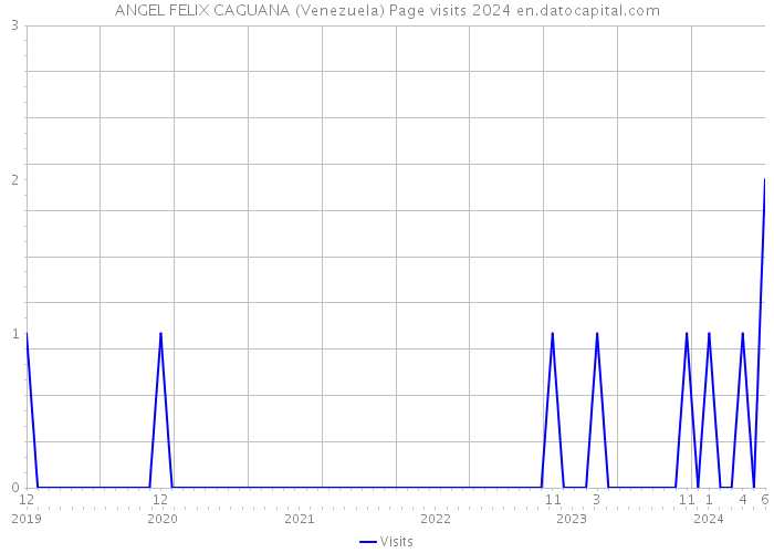 ANGEL FELIX CAGUANA (Venezuela) Page visits 2024 