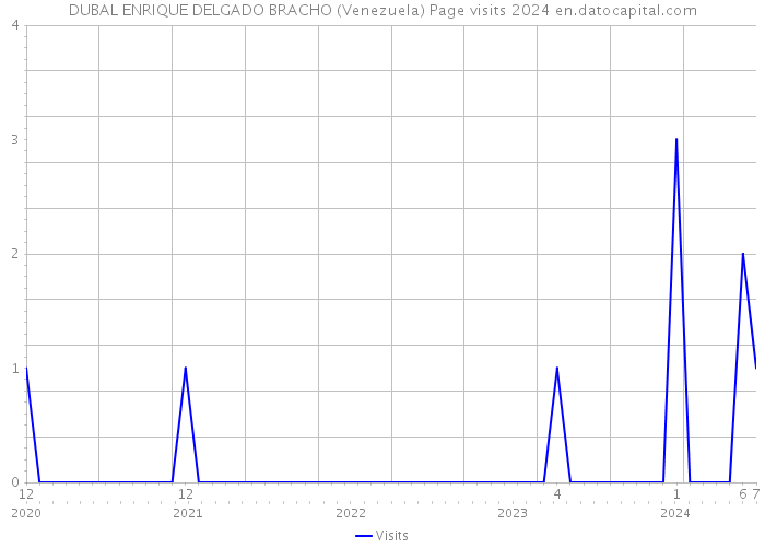 DUBAL ENRIQUE DELGADO BRACHO (Venezuela) Page visits 2024 
