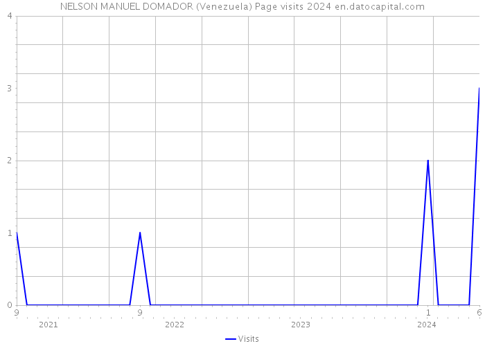 NELSON MANUEL DOMADOR (Venezuela) Page visits 2024 
