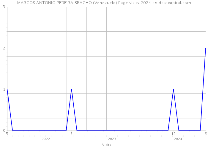 MARCOS ANTONIO PEREIRA BRACHO (Venezuela) Page visits 2024 