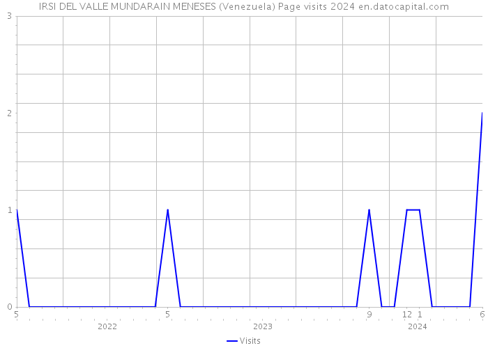 IRSI DEL VALLE MUNDARAIN MENESES (Venezuela) Page visits 2024 