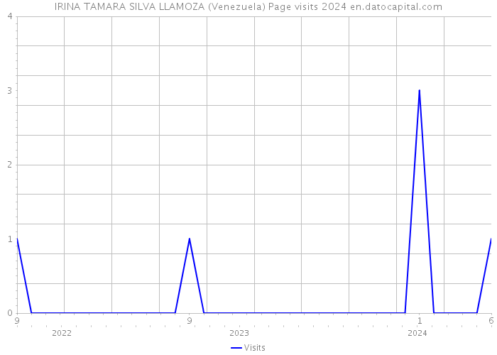 IRINA TAMARA SILVA LLAMOZA (Venezuela) Page visits 2024 