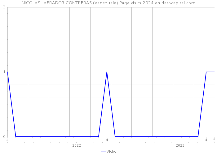 NICOLAS LABRADOR CONTRERAS (Venezuela) Page visits 2024 