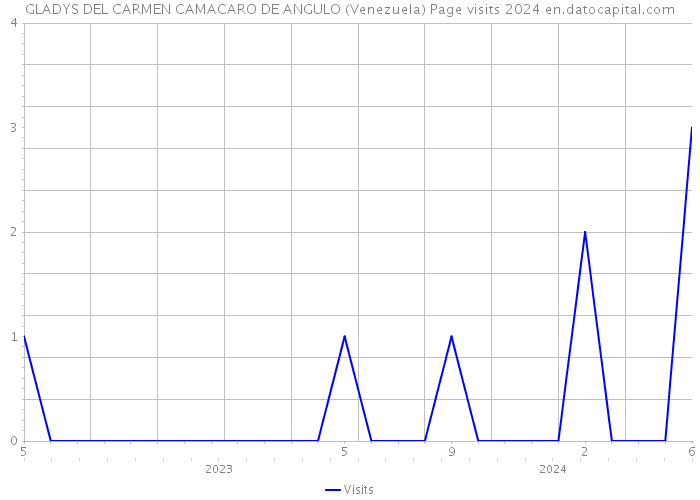 GLADYS DEL CARMEN CAMACARO DE ANGULO (Venezuela) Page visits 2024 