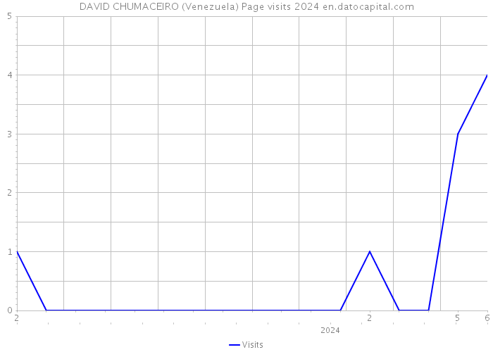 DAVID CHUMACEIRO (Venezuela) Page visits 2024 