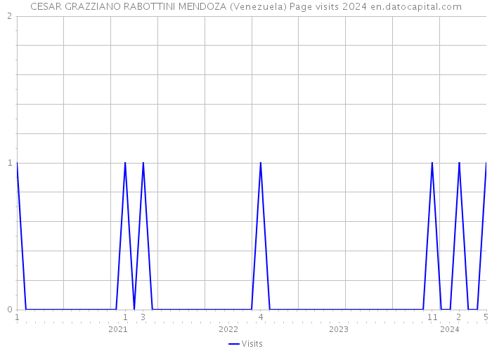 CESAR GRAZZIANO RABOTTINI MENDOZA (Venezuela) Page visits 2024 