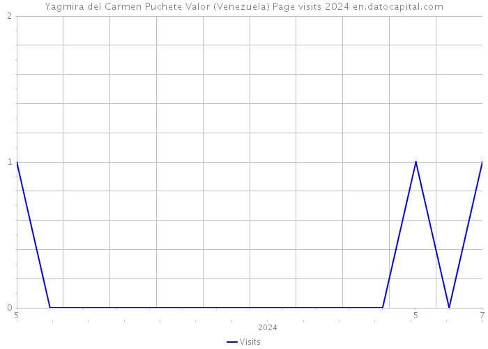 Yagmira del Carmen Puchete Valor (Venezuela) Page visits 2024 