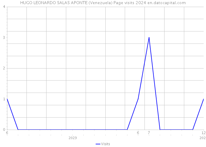 HUGO LEONARDO SALAS APONTE (Venezuela) Page visits 2024 