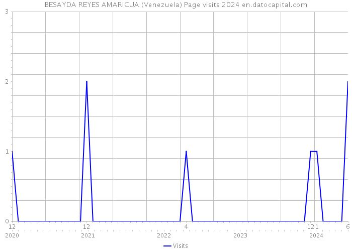 BESAYDA REYES AMARICUA (Venezuela) Page visits 2024 