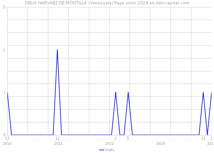 DELIA NARVAEZ DE MONTILLA (Venezuela) Page visits 2024 