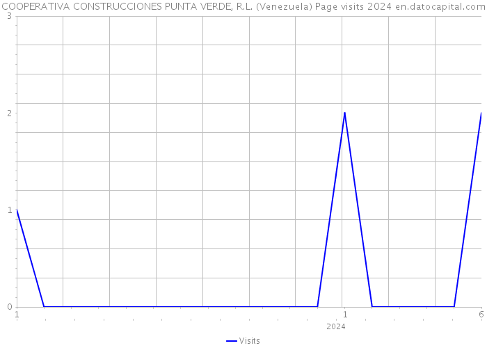 COOPERATIVA CONSTRUCCIONES PUNTA VERDE, R.L. (Venezuela) Page visits 2024 