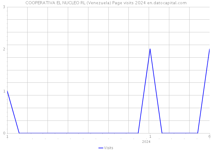 COOPERATIVA EL NUCLEO RL (Venezuela) Page visits 2024 