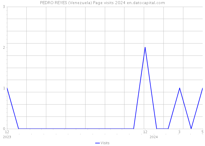 PEDRO REYES (Venezuela) Page visits 2024 