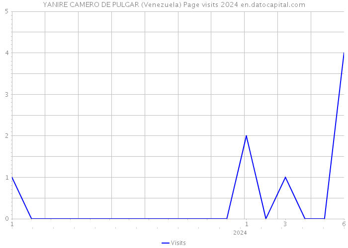 YANIRE CAMERO DE PULGAR (Venezuela) Page visits 2024 