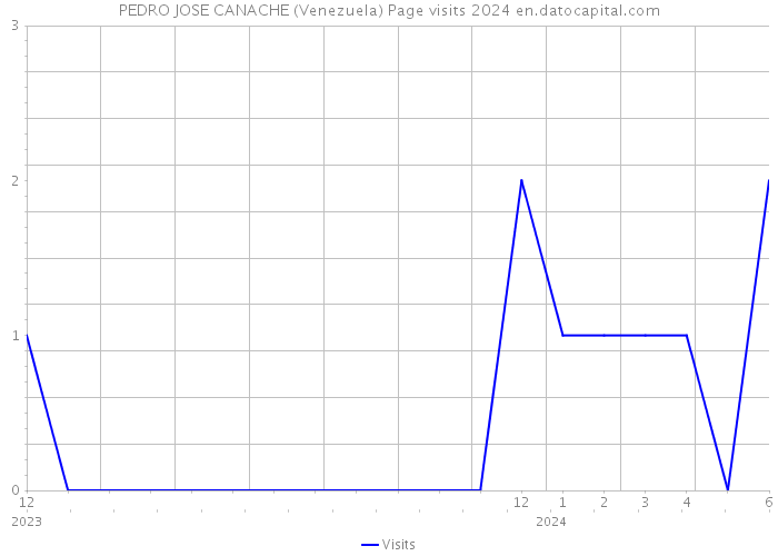 PEDRO JOSE CANACHE (Venezuela) Page visits 2024 