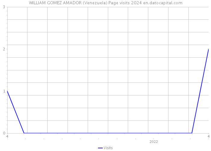 WILLIAM GOMEZ AMADOR (Venezuela) Page visits 2024 
