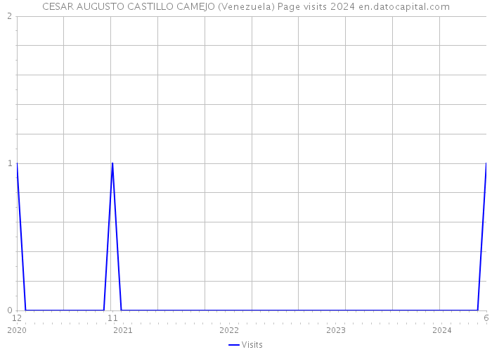CESAR AUGUSTO CASTILLO CAMEJO (Venezuela) Page visits 2024 