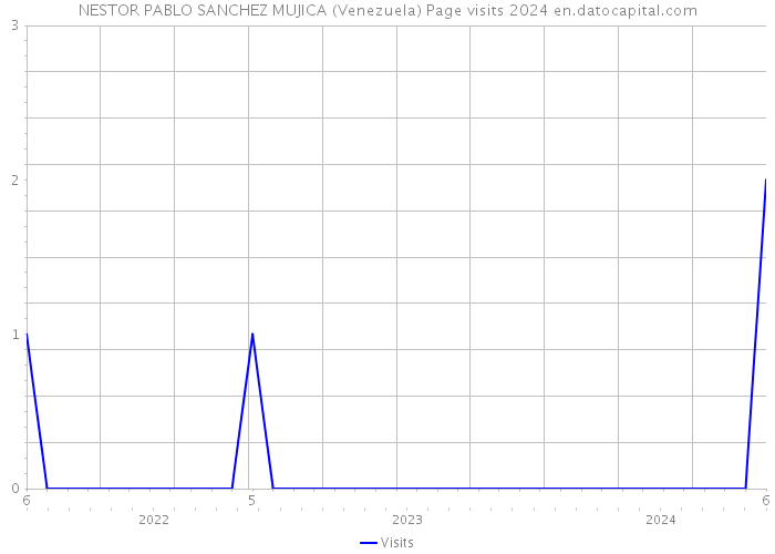 NESTOR PABLO SANCHEZ MUJICA (Venezuela) Page visits 2024 