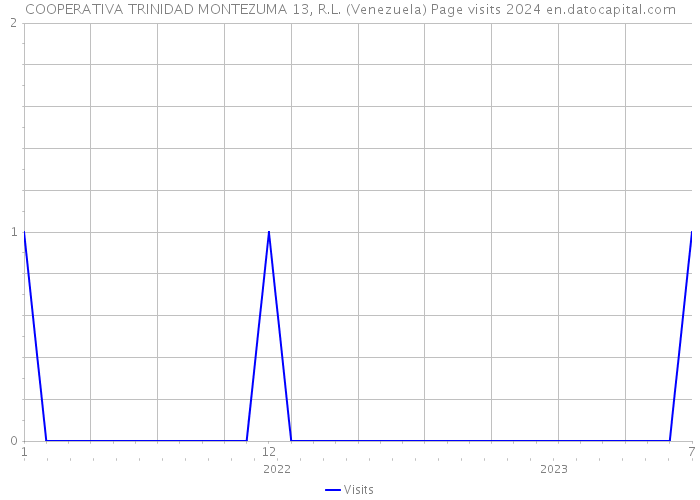 COOPERATIVA TRINIDAD MONTEZUMA 13, R.L. (Venezuela) Page visits 2024 