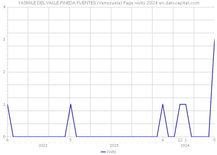YASMILE DEL VALLE PINEDA FUENTES (Venezuela) Page visits 2024 