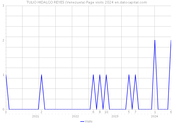 TULIO HIDALGO REYES (Venezuela) Page visits 2024 