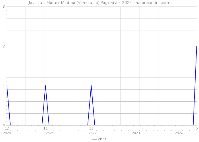 Jose Luis Matute Medina (Venezuela) Page visits 2024 