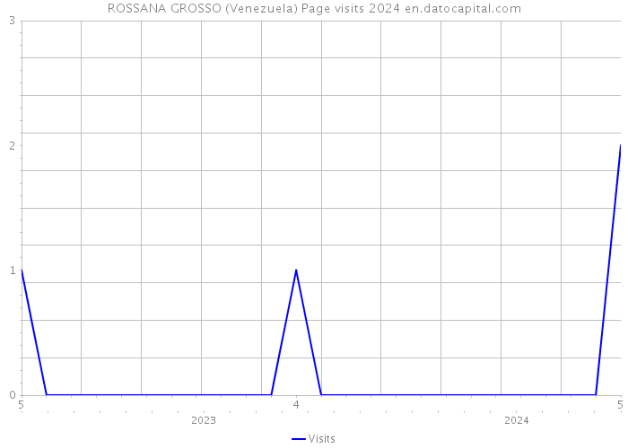 ROSSANA GROSSO (Venezuela) Page visits 2024 