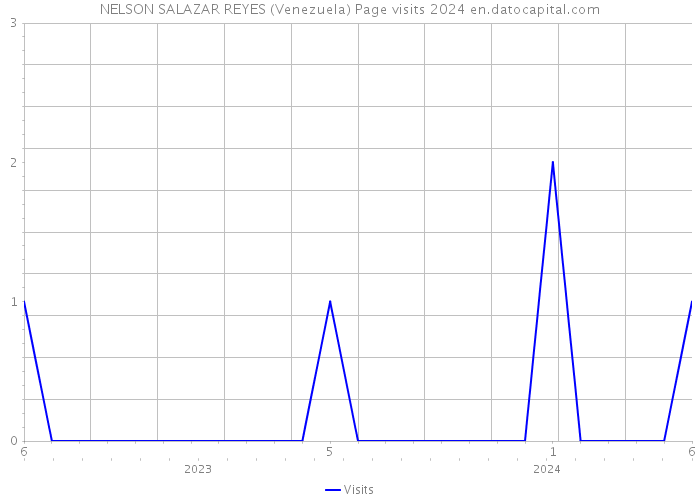 NELSON SALAZAR REYES (Venezuela) Page visits 2024 