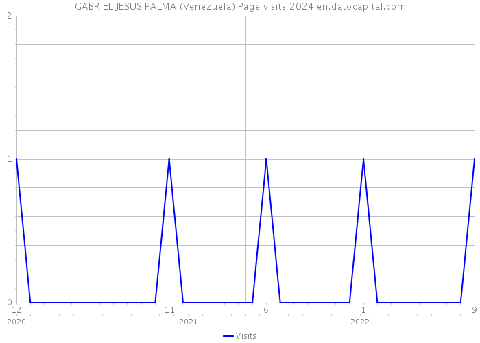 GABRIEL JESUS PALMA (Venezuela) Page visits 2024 