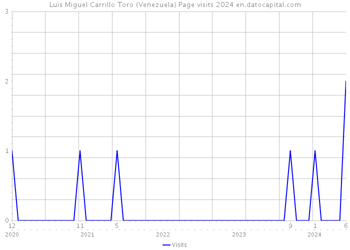 Luis Miguel Carrillo Toro (Venezuela) Page visits 2024 