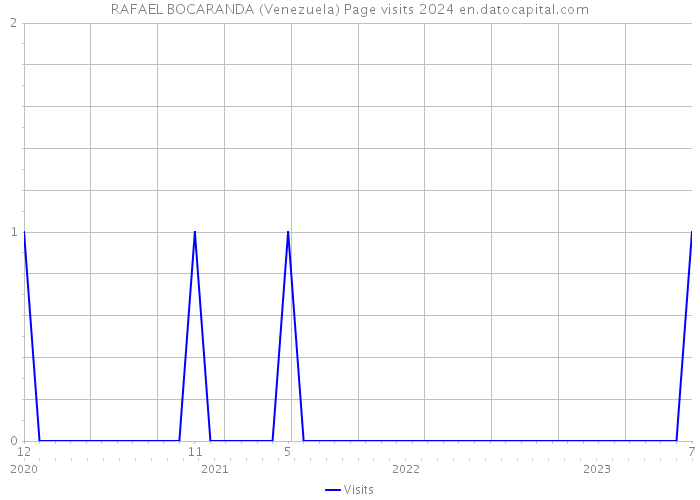 RAFAEL BOCARANDA (Venezuela) Page visits 2024 