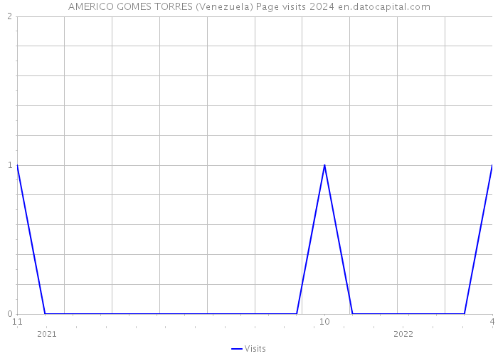 AMERICO GOMES TORRES (Venezuela) Page visits 2024 