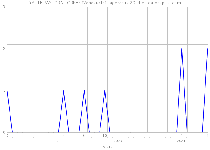 YALILE PASTORA TORRES (Venezuela) Page visits 2024 