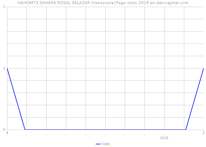 NAHOMYS SAHARA ROSAL SALAZAR (Venezuela) Page visits 2024 
