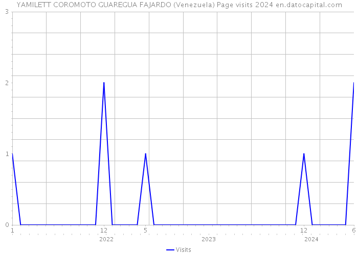 YAMILETT COROMOTO GUAREGUA FAJARDO (Venezuela) Page visits 2024 