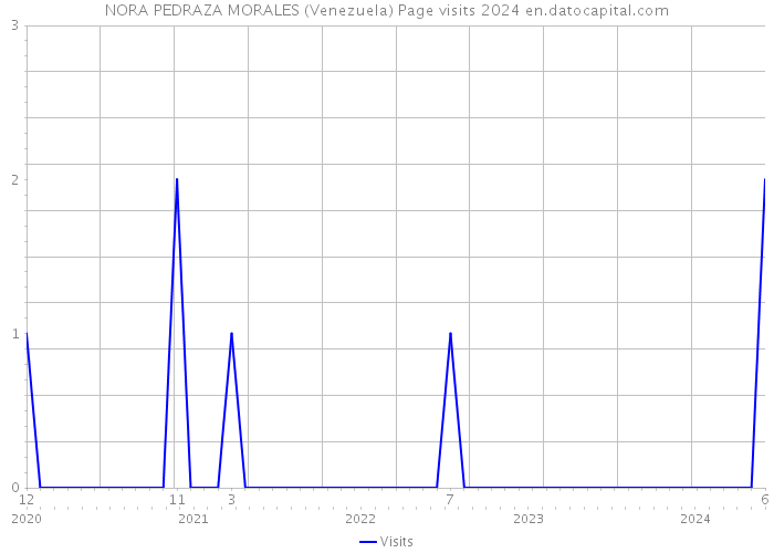 NORA PEDRAZA MORALES (Venezuela) Page visits 2024 