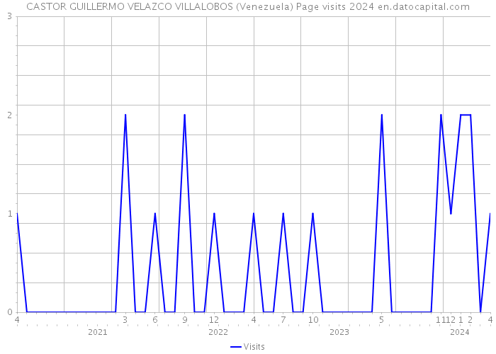 CASTOR GUILLERMO VELAZCO VILLALOBOS (Venezuela) Page visits 2024 