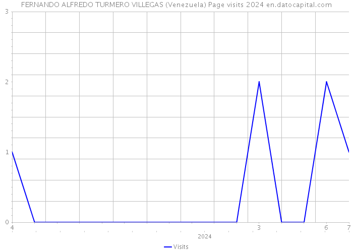 FERNANDO ALFREDO TURMERO VILLEGAS (Venezuela) Page visits 2024 