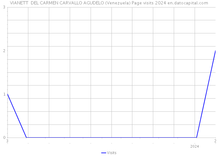 VIANETT DEL CARMEN CARVALLO AGUDELO (Venezuela) Page visits 2024 